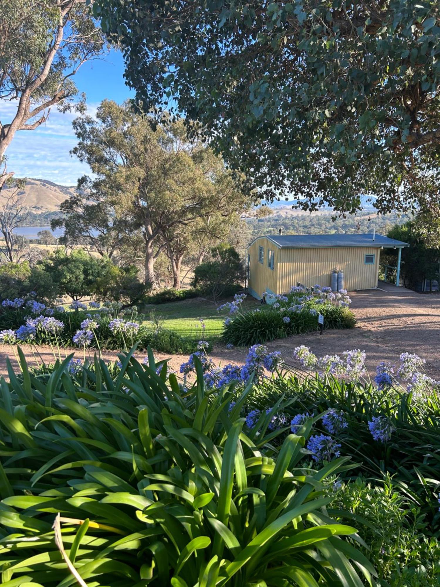 Burnt Creek Cottages Mansfield Extérieur photo