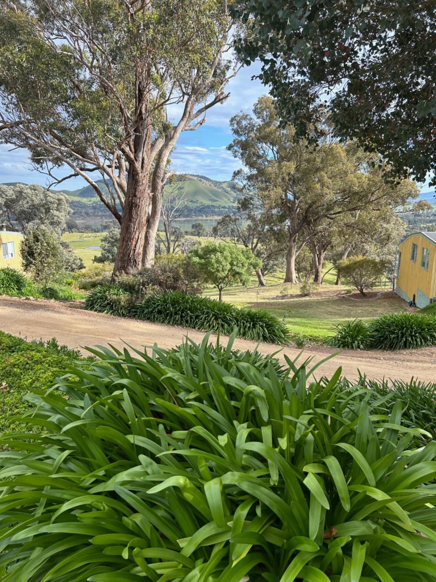 Burnt Creek Cottages Mansfield Extérieur photo